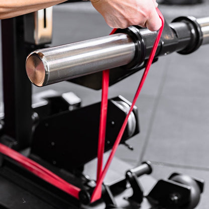 REP Fitness Leg Extension & Leg Curl Bench Attachment