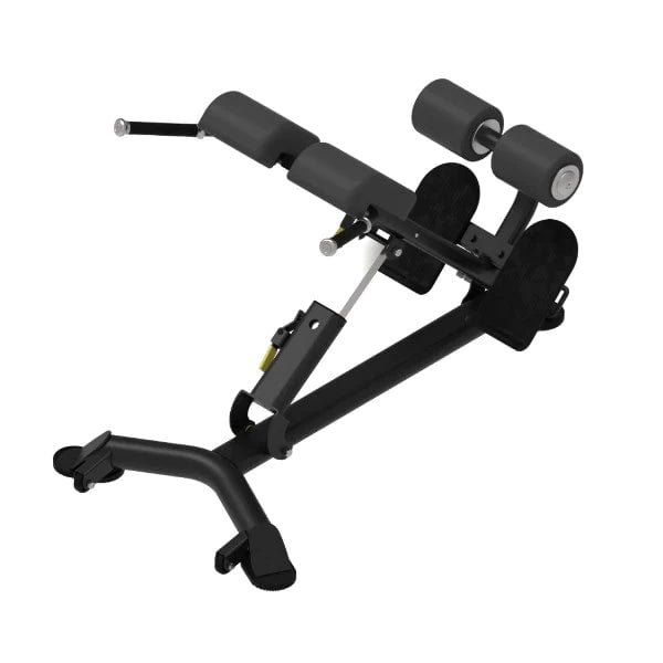 Healthstream Ultimate Multi Hyperextension Gym and Fitness