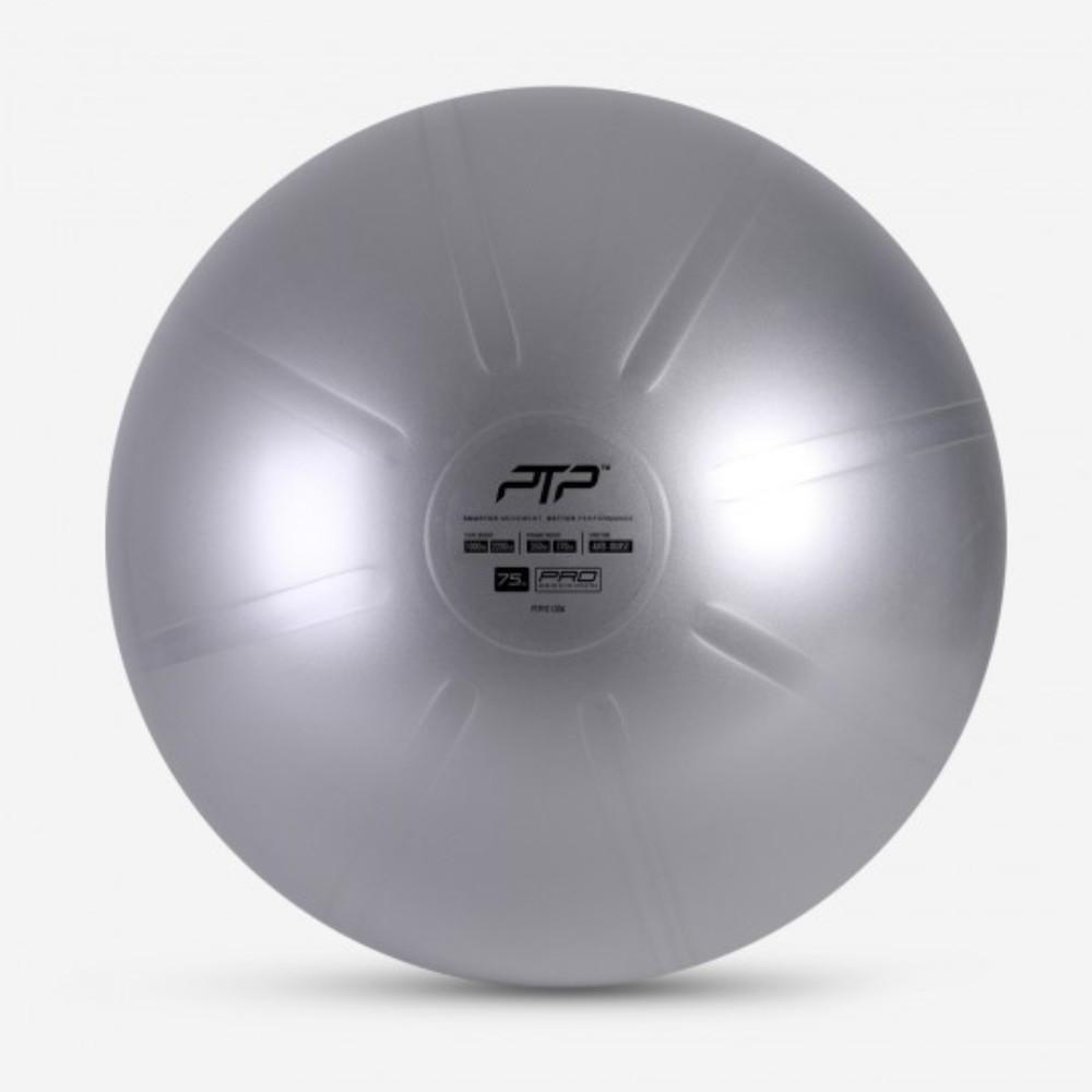PTP Coreball 75 CM Steel Grey Gym and Fitness